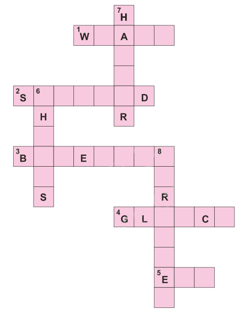 Crossword Puzzle Question Who Did Patrick's Homewrok NCERT Solutions for 6th Class English: Chapter 1-Who Did Patrick's Homework
