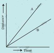 NCERT Solutions for 7th Class Science: Chapter 13-Motion and Time