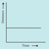 NCERT Solutions for 7th Class Science: Chapter 13-Motion and Time