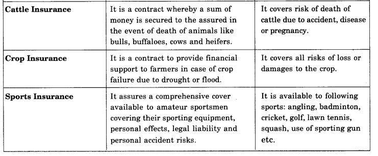 NCERT Solutions for 11th Class Business Studies: Chapter 4- Business Services Que. 4