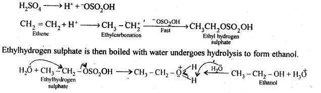 NCERT Solutions for 12th Class Chemistry: Chapter 11-Alcohols Phenols and Ether Ex.11.11
