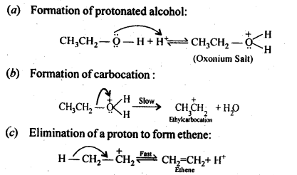 NCERT Solutions for 12th Class Chemistry: Chapter 11-Alcohols Phenols and Ether Ex.11.19