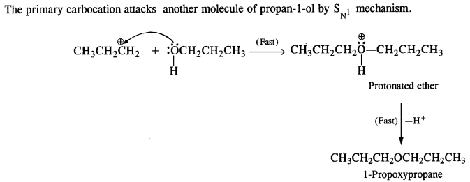 NCERT Solutions for 12th Class Chemistry: Chapter 11-Alcohols Phenols and Ether Ex.11.26