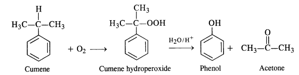NCERT Solutions for 12th Class Chemistry: Chapter 11-Alcohols Phenols and Ether Ex.11.9