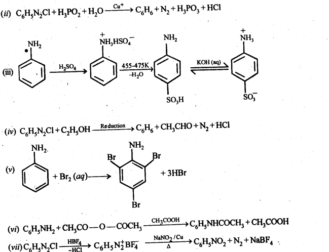 NCERT Solutions for 12th Class Chemistry:Chapter 13-Amines Ex. 13.11