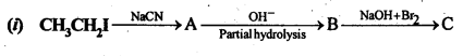 NCERT Solutions for 12th Class Chemistry:Chapter 13-Amines Ex. 13.9