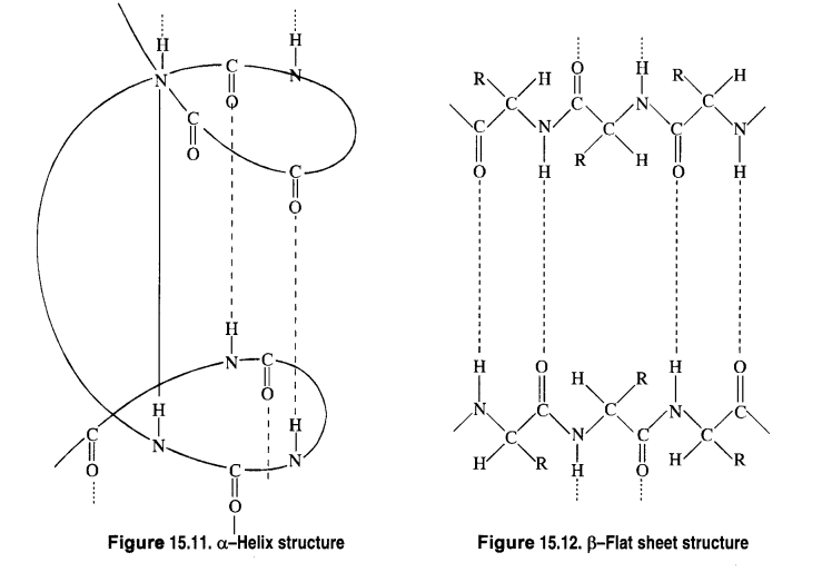 NCERT Solutions for 12th Class Chemistry:Chapter 14-Biomolecules Ex. 14.13