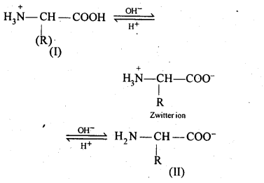 NCERT Solutions for 12th Class Chemistry:Chapter 14-Biomolecules Ex. 14.16