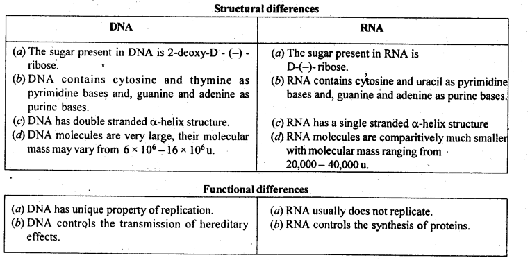 NCERT Solutions for 12th Class Chemistry:Chapter 14-Biomolecules Ex. 14.24