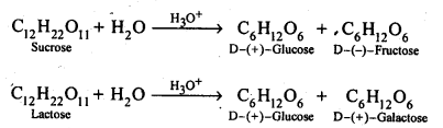 NCERT Solutions for 12th Class Chemistry:Chapter 14-Biomolecules Ex. 14.7