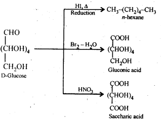 NCERT Solutions for 12th Class Chemistry:Chapter 14-Biomolecules Ex. 14.9