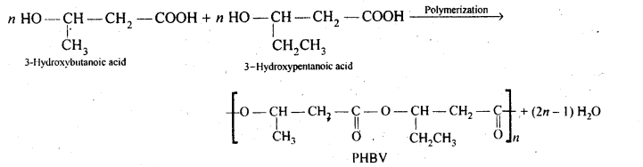 NCERT Solutions for 12th Class Chemistry:Chapter 15-Polymers Ex. 15.20