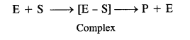 NCERT Solutions for 12th Class Chemistry: Chapter 16-Chemistry in Everyday Life Ex. 16.2
