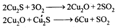 NCERT Solutions for 12th Class Chemistry: Chapter 6-General Principles and Processes of Isolation of Elements Ex.6.17
