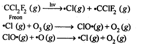 NCERT Solutions for 12th Class Chemistry: Chapter 7-The p Block Elements Ex.7.20
