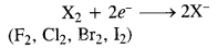 NCERT Solutions for 12th Class Chemistry: Chapter 7-The p Block Elements Ex.7.23