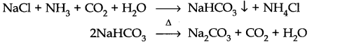 NCERT Solutions for 11th Class Chemistry: Chapter 10-The s-Block Elements Que. 16