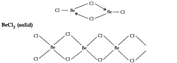 NCERT Solutions for 11th Class Chemistry: Chapter 10-The s-Block Elements Que. 19