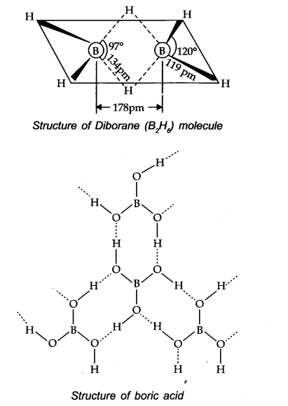 NCERT Solutions for 11th Class Chemistry: Chapter 11-The p-Block Elements Que. 19