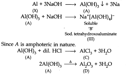 NCERT Solutions for 11th Class Chemistry: Chapter 11-The p-Block Elements Que. 28