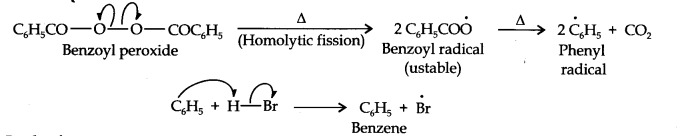 NCERT Solutions for 11th Class Chemistry: Chapter 13-Hydrocarbons Que. 16