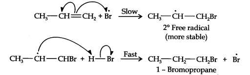 NCERT Solutions for 11th Class Chemistry: Chapter 13-Hydrocarbons Que. 16