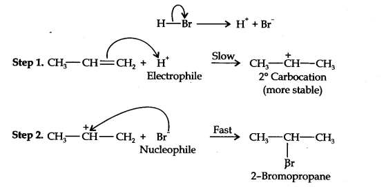 NCERT Solutions for 11th Class Chemistry: Chapter 13-Hydrocarbons Que. 16