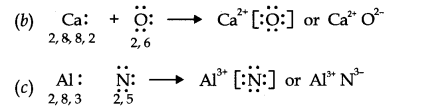 NCERT Solutions for 11th Class Chemistry: Chapter 4-Chemical Bonding and Molecular Structure Que. 14