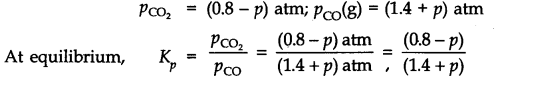 NCERT Solutions for 11th Class Chemistry: Chapter 7-Equilibrium Que. 19