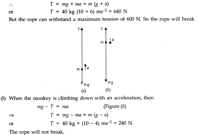 NCERT Solutions for 11th Class Physics: Chapter 5-Laws Of Motion Que. 5.33