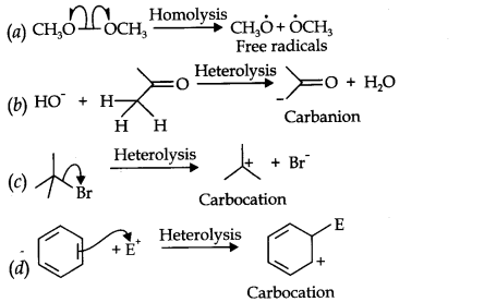 NCERT Solutions for 11th Class Chemistry: Chapter 12-Organic Chemistry Some Basic Principles and Techniques Que. 16
