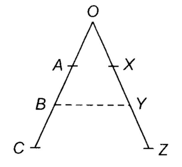 NCERT Solutions for 12th Class Business Studies: Chapter 2-Principles of Management Que. 5