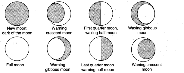 NCERT Solutions for 5th Class Environmental Studies Chapter 11-Sunita In Space