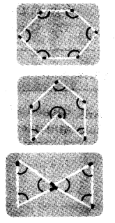 NCERT Solutions for 5th Class Maths Chapter 2-Shapes And Angles