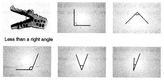 NCERT Solutions for 5th Class Maths Chapter 2-Shapes And Angles