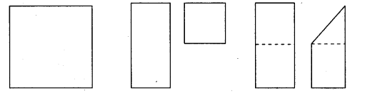 NCERT Solutions for 5th Class Maths Chapter 2-Shapes And Angles