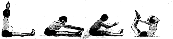 NCERT Solutions for 5th Class Maths Chapter 2-Shapes And Angles