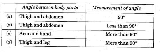 NCERT Solutions for 5th Class Maths Chapter 2-Shapes And Angles