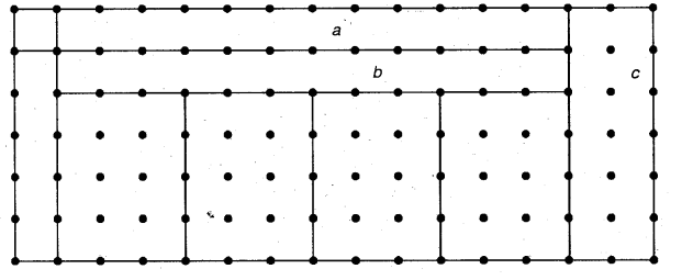 NCERT Solutions for 5th Class Maths Chapter 3-How Many Squares?