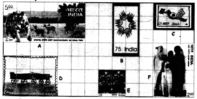 NCERT Solutions for 5th Class Maths Chapter 3-How Many Squares?