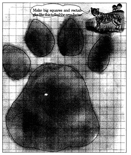 NCERT Solutions for 5th Class Maths Chapter 3-How Many Squares?