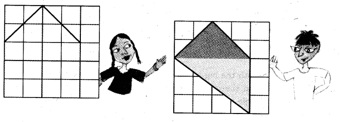 NCERT Solutions for 5th Class Maths Chapter 3-How Many Squares?