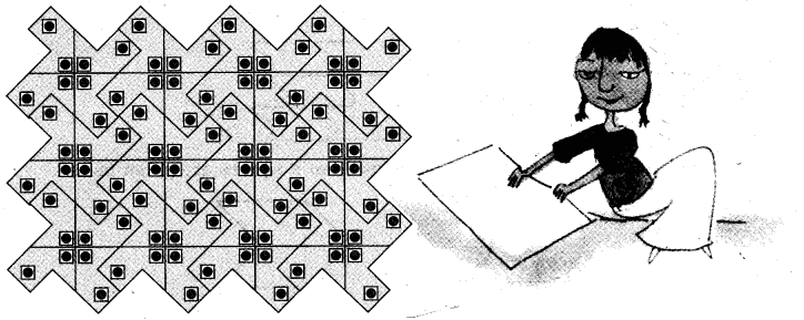 NCERT Solutions for 5th Class Maths Chapter 3-How Many Squares?