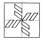 NCERT Solutions for 5th Class Maths Chapter 3-How Many Squares?