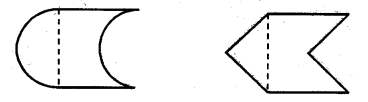 NCERT Solutions for 5th Class Maths Chapter 3-How Many Squares?