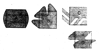 NCERT Solutions for 5th Class Maths Chapter 3-How Many Squares?