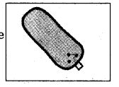 NCERT Solutions for 5th Class Maths Chapter 4-Parts And Wholes