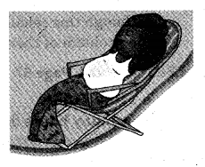 NCERT Solutions for 5th Class Maths Chapter 4-Parts And Wholes