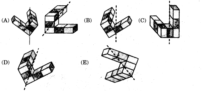 NCERT Solutions for 5th Class Maths Chapter 5-Does it Look The Same?