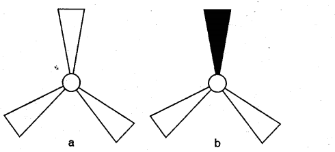 NCERT Solutions for 5th Class Maths Chapter 5-Does it Look The Same?